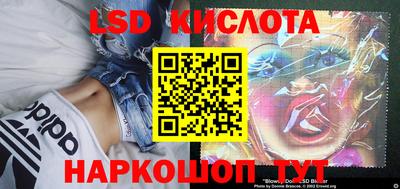 apvp Кандалакша