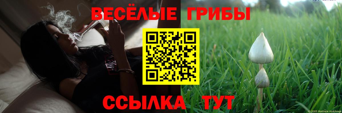 Краснодар  Галлюциногенные грибы мицелий  закладка  Вход с VPN 